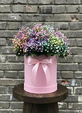 Цветочная композиция из Гипсофила и Розы в шляпной коробке #REPLACE_PRED# Каменномостский