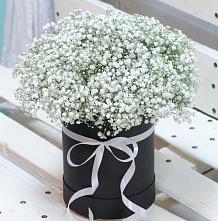 Цветочная композиция из Гипсофила в шляпной коробке #REPLACE_PRED# Каменномостский
