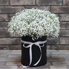 Цветочная композиция из Гипсофила в шляпной коробке в Каменномостский