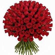Букет Красные розы Чери Лав в Каменномостский