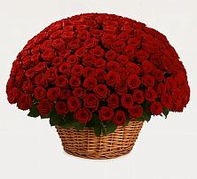 Премиум букет из: Розы в Каменномостский